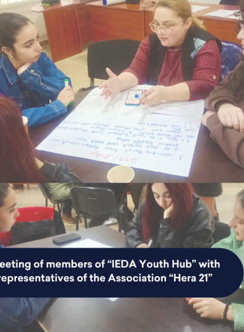 Meeting of members of “IEDA Youth Hub” with representatives of the Association “Hera 21”